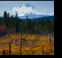 Pacific Northwest thumbnail photo 13